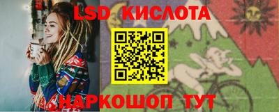 спиды Гатчина