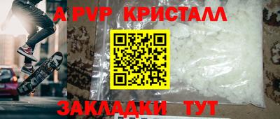 спиды Гатчина