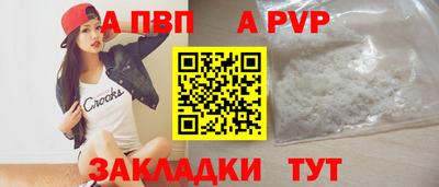 спиды Гатчина
