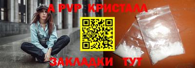 спиды Гатчина