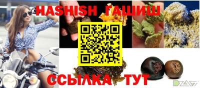 спиды Гатчина