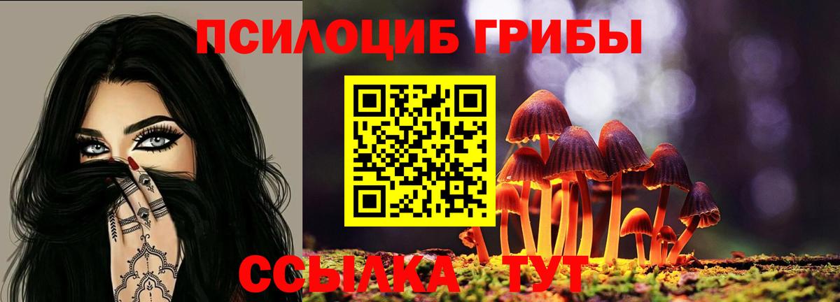 Галлюциногенные грибы MAGIC MUSHROOMS Георгиевск